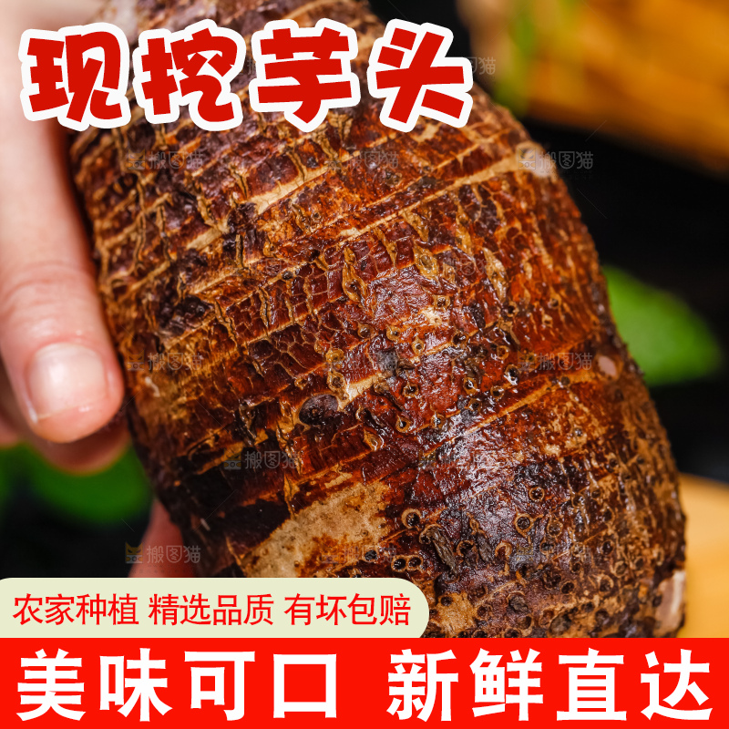 手里拿着荔浦芋头