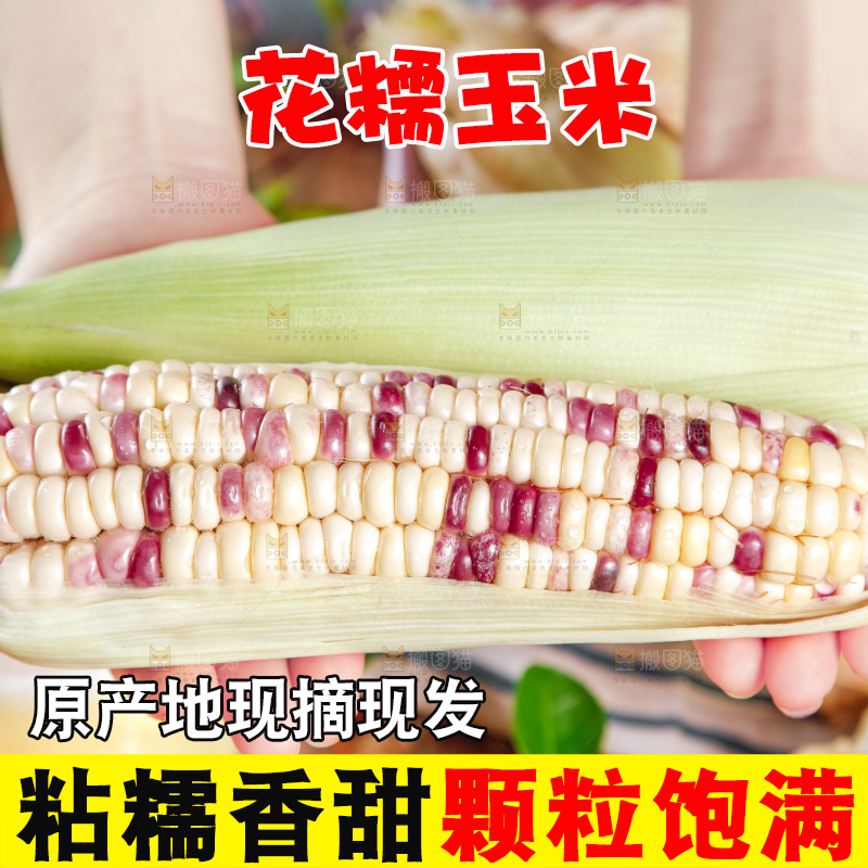 手里拿着花糯玉米