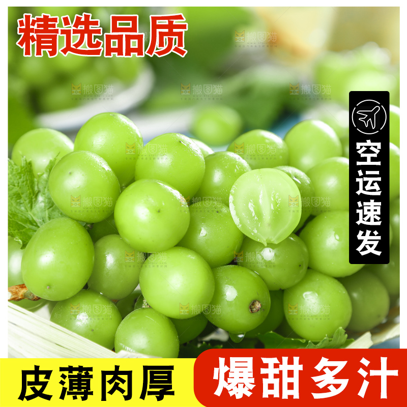浅底上摆放着阳光玫瑰青提