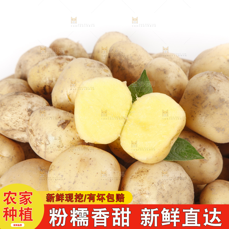 一堆小土豆