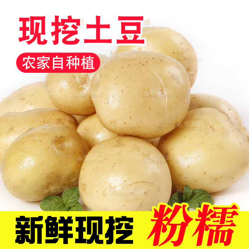 白底上放着土豆
