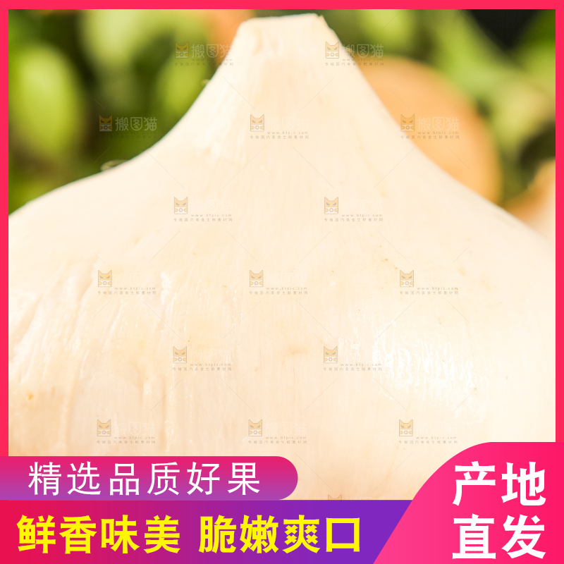 手里拿着白凉薯