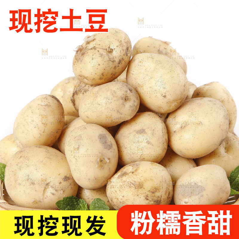 竹篮里放着小土豆