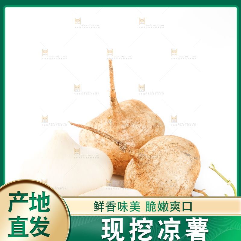 白底上的凉薯