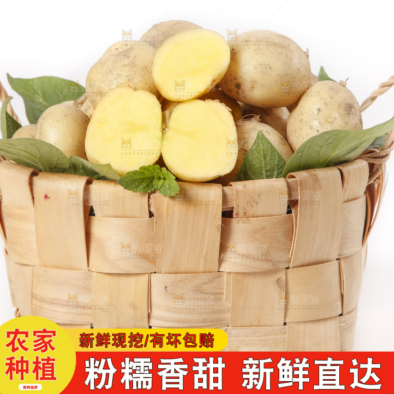 竹篮放着小土豆