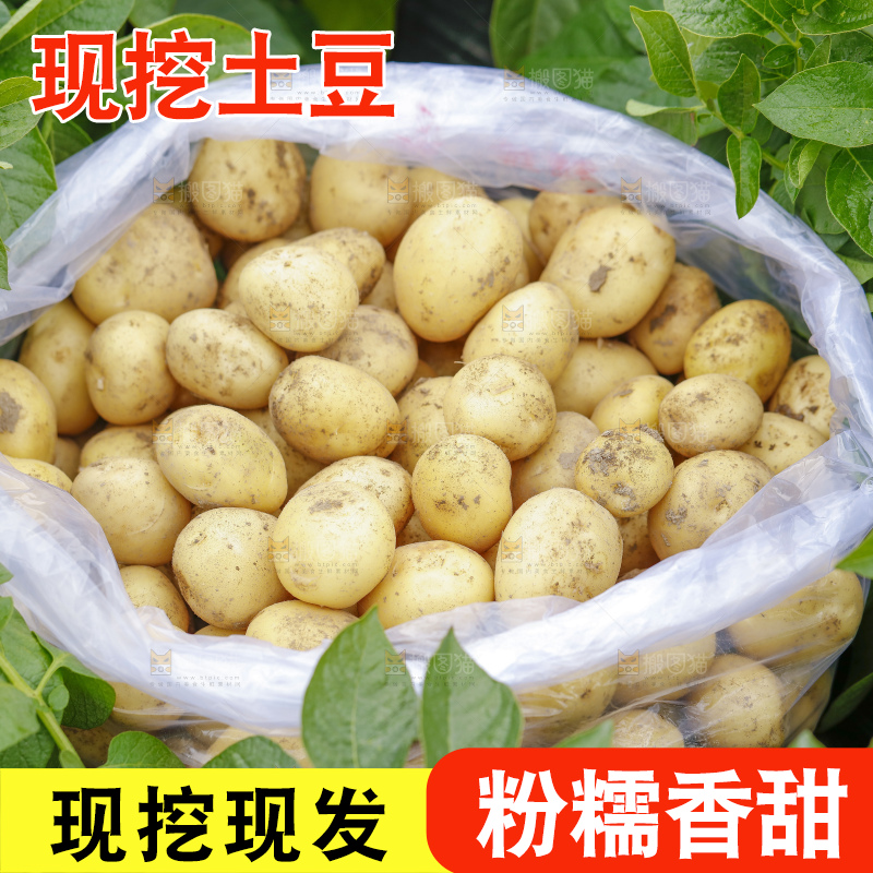 袋子里装着土豆