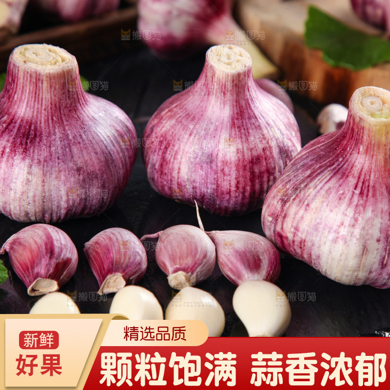 黑石板上放着紫皮大蒜
