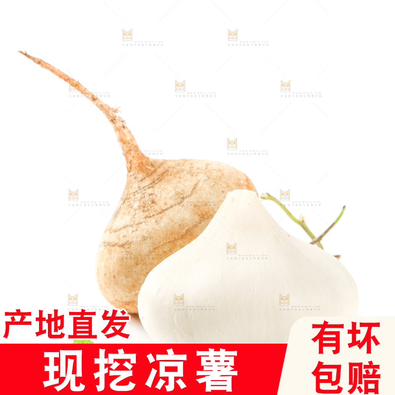白底上的凉薯