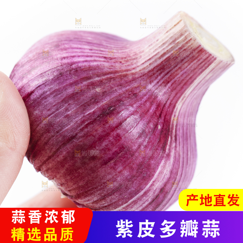 手里拿着紫皮蒜
