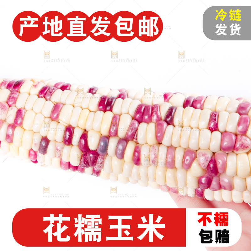 手里拿着剥皮的广西花糯玉米