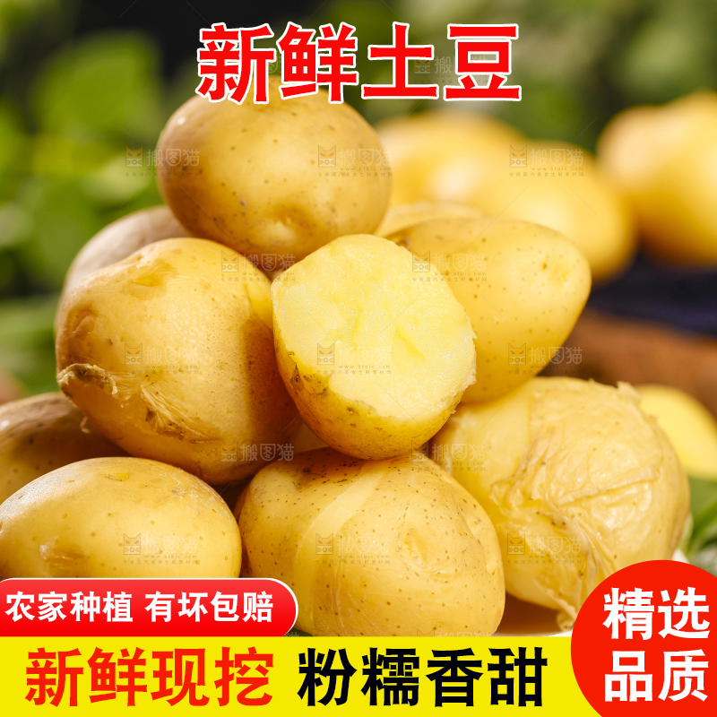 盘子里装着小土豆