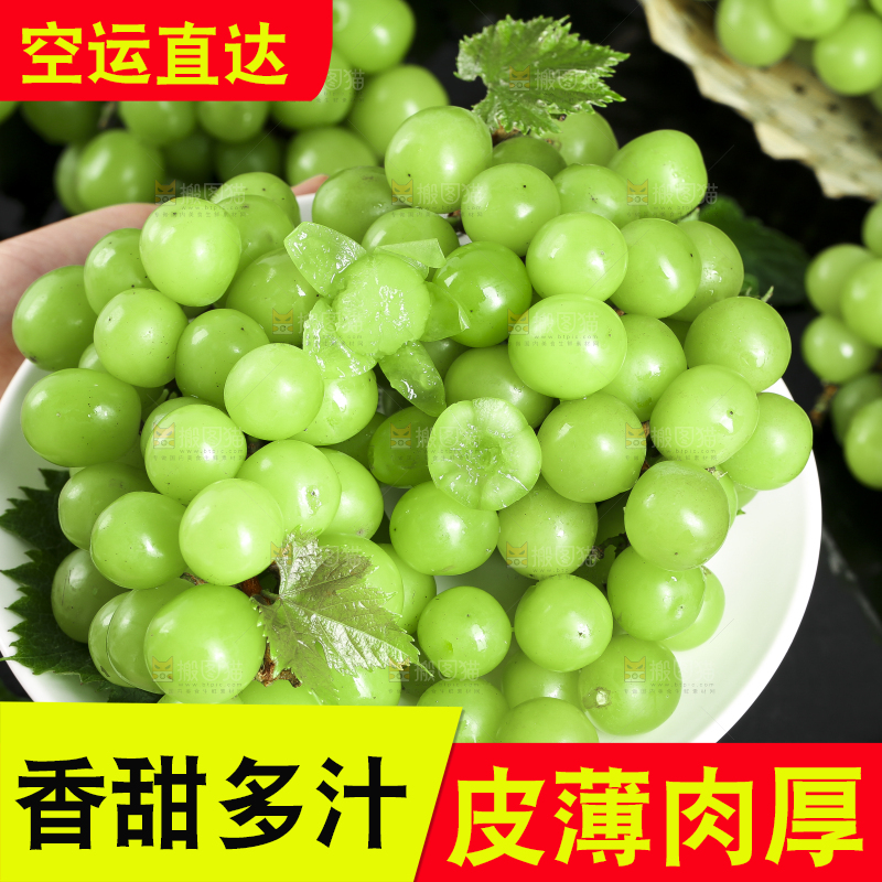 盘子里装着无籽青提
