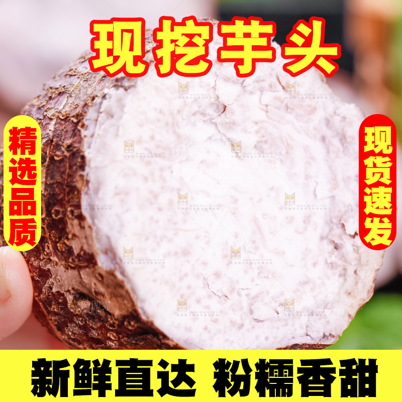 手里拿着大芋头