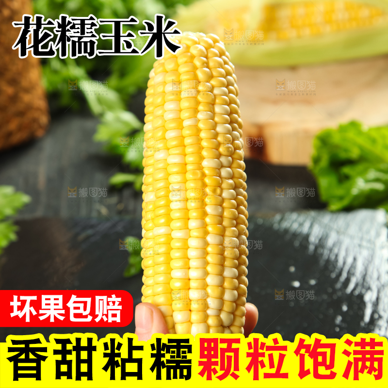 手里拿着糯玉米