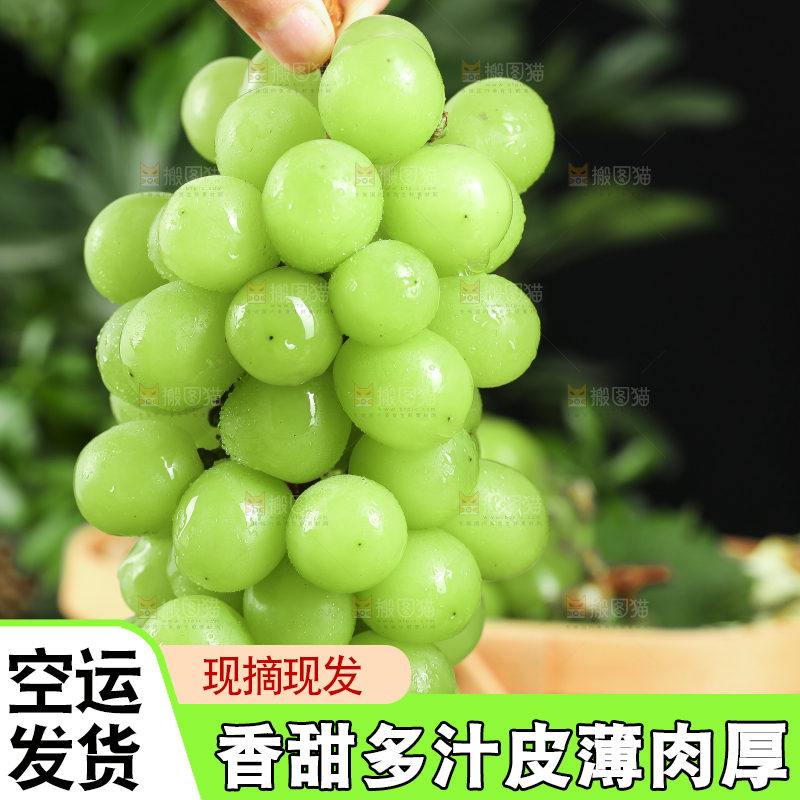 手里拿着无籽青提