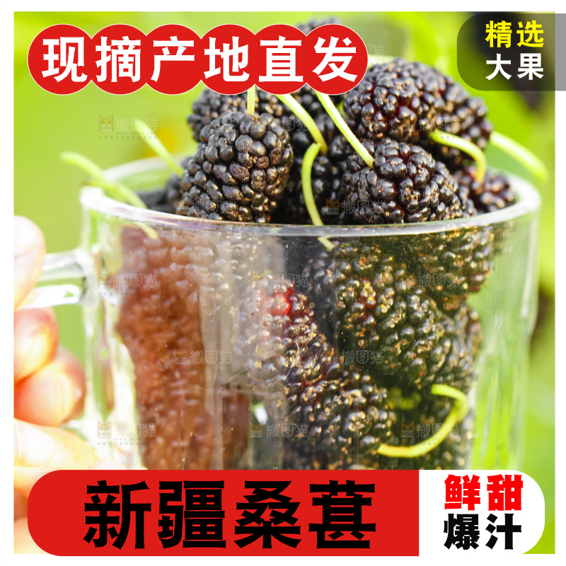 杯子里装着桑葚