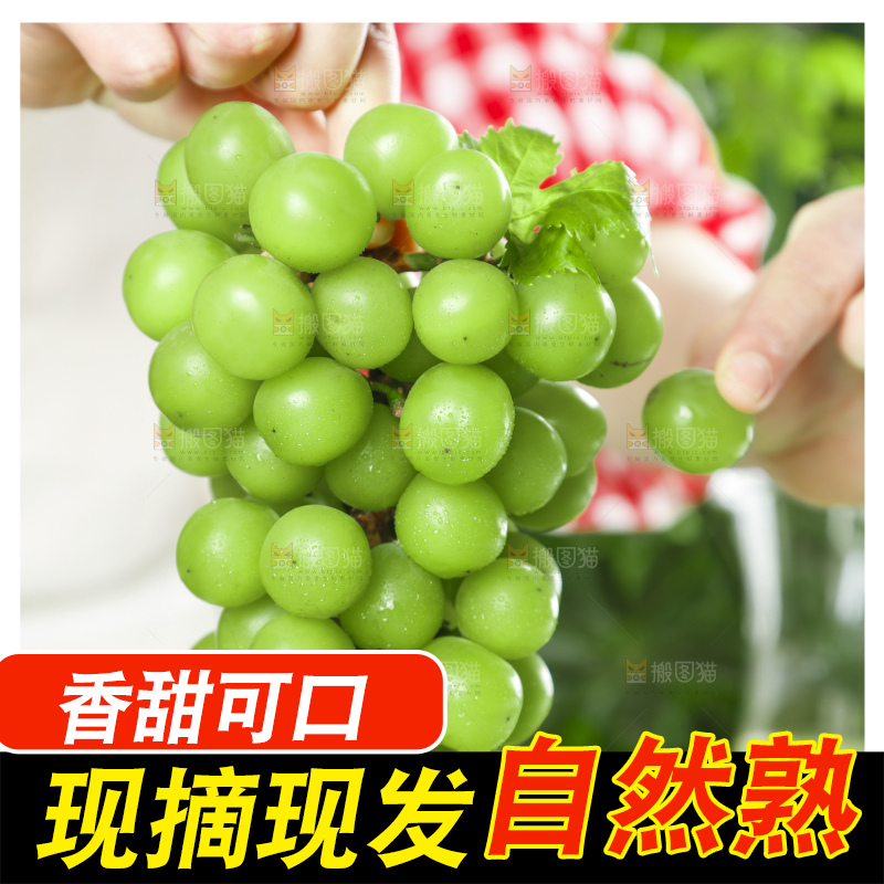 手里拿着阳光玫瑰葡萄