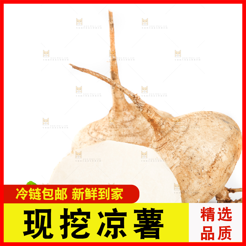 白底上的凉薯