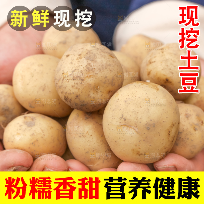 手里拿着云南小土豆