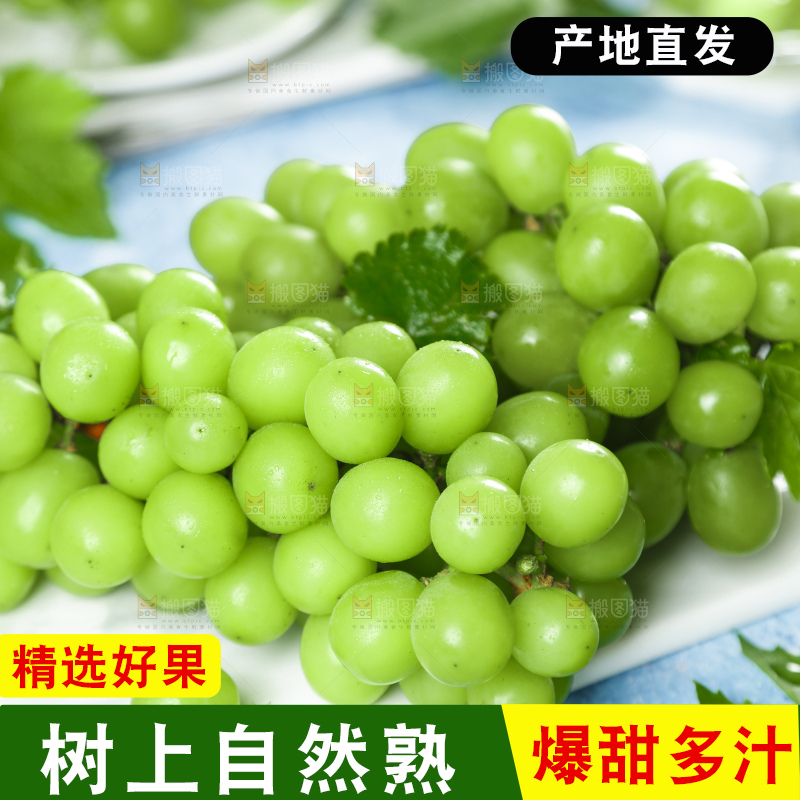 浅底上摆放着阳光玫瑰青提