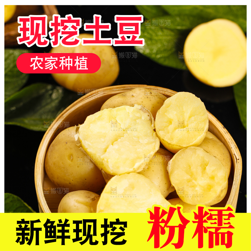 竹笼里放着小土豆