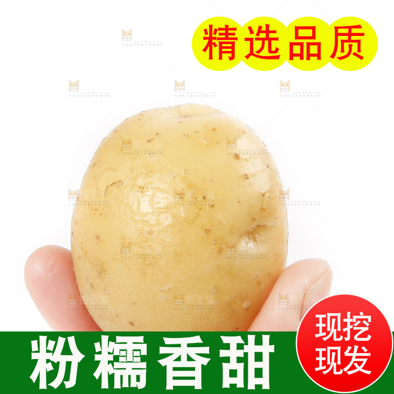 手里拿着土豆