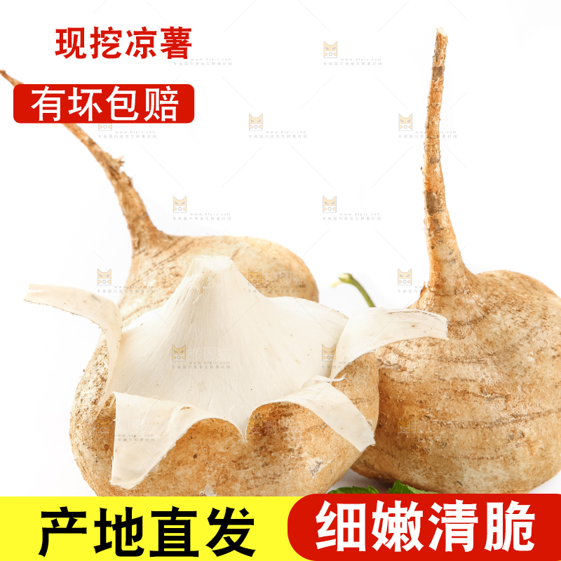 白底上的凉薯