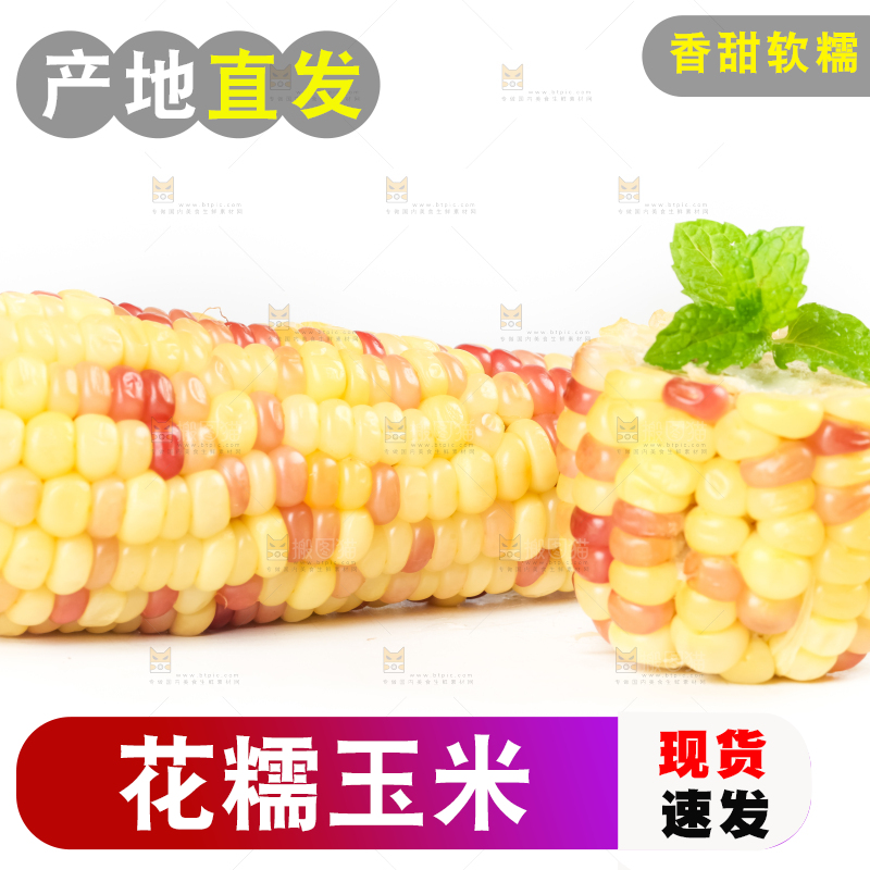 白底上放着花糯玉米