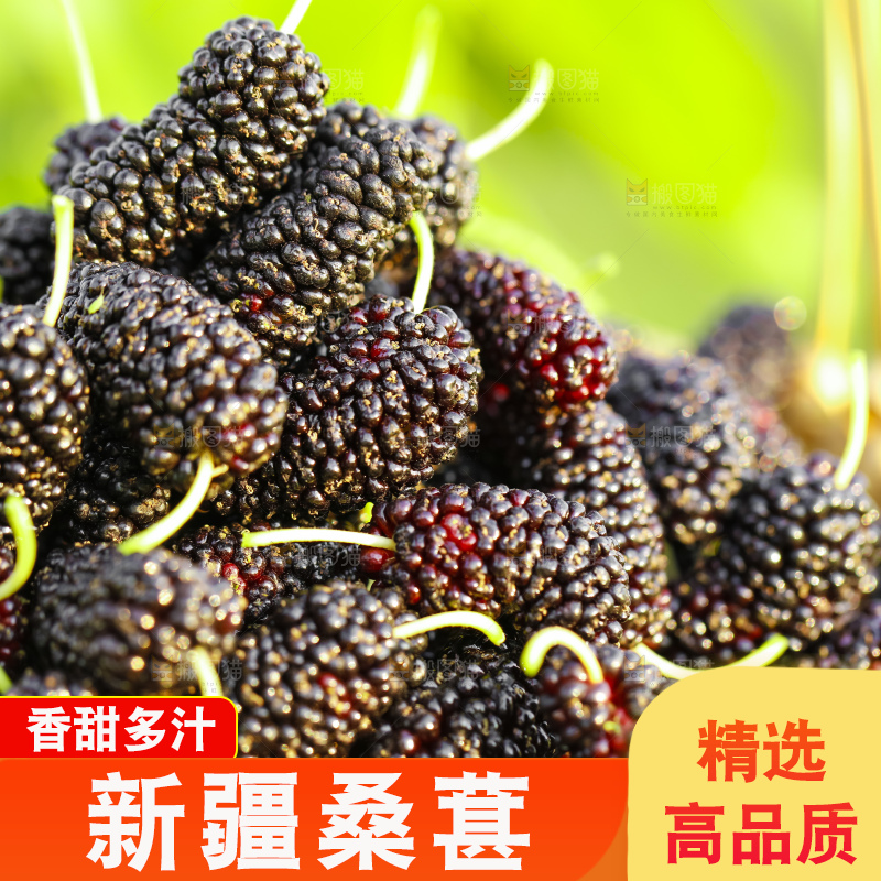 竹篮里装着桑葚