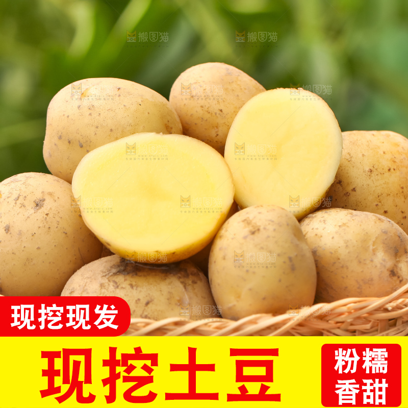 竹篮里放着云南小土豆