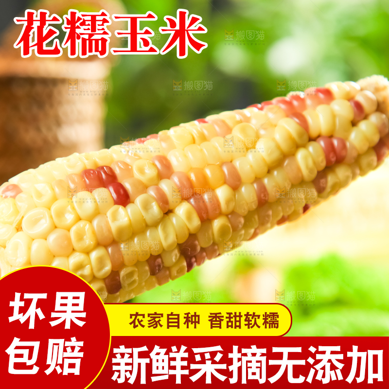 筷子插着花玉米
