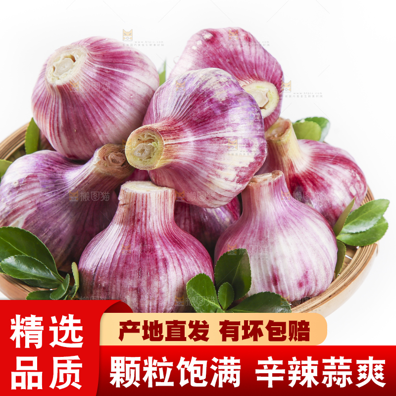 竹篮里面放着紫皮蒜