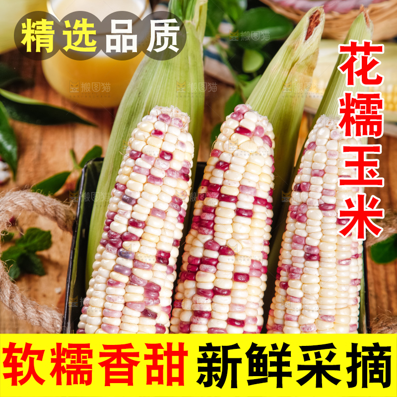 铁桶里面放着剥皮的花玉米