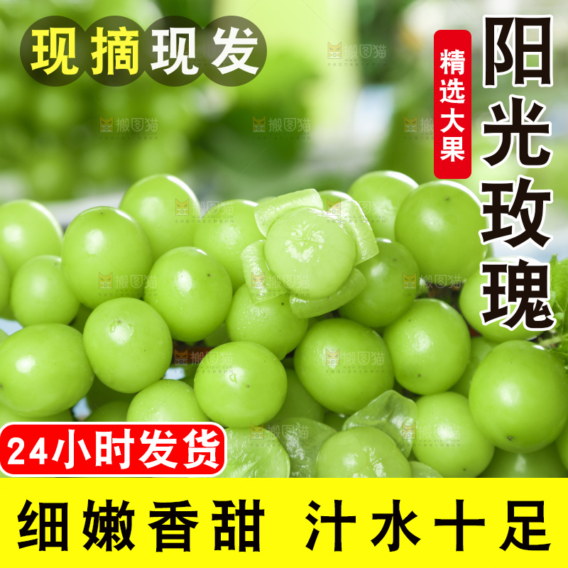 浅底上摆放着阳光玫瑰青提