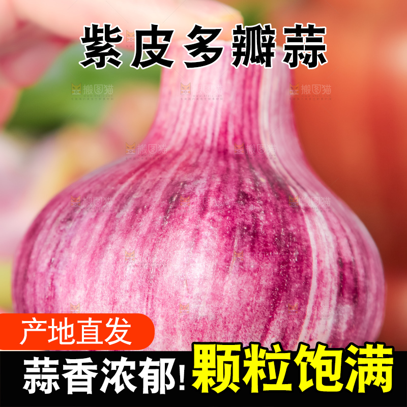 手里拿着紫皮蒜