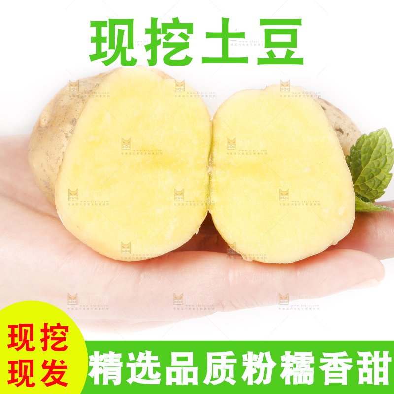 手里拿着小土豆