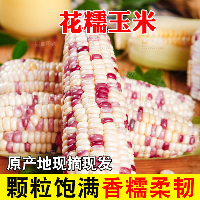 木板上放着剥皮的花玉米