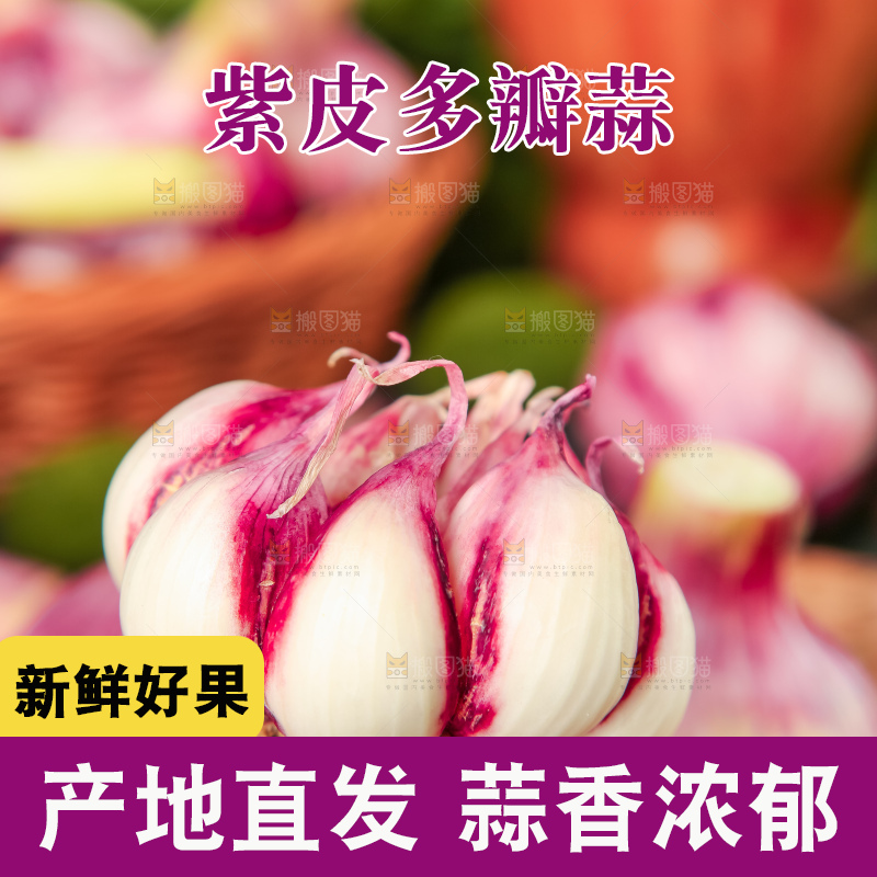 手里拿着紫皮蒜
