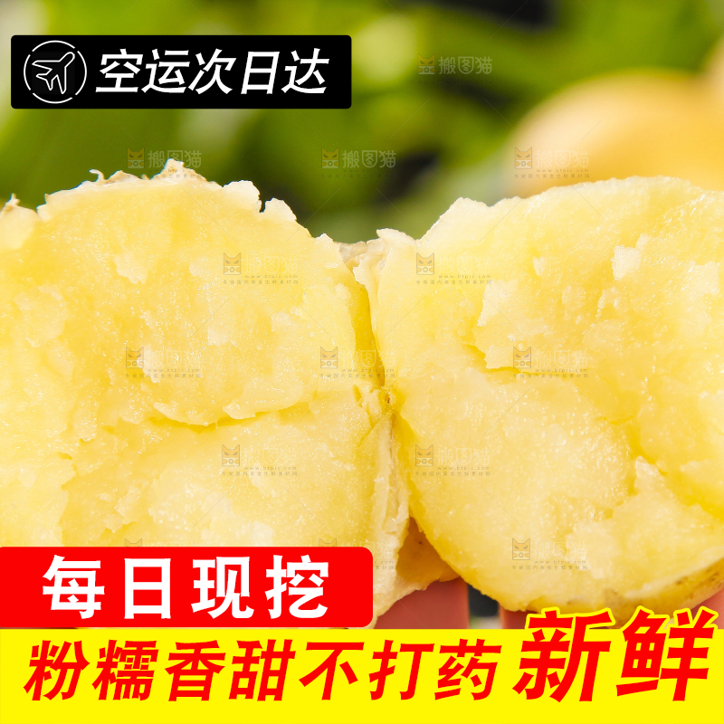 手里拿着云南小土豆
