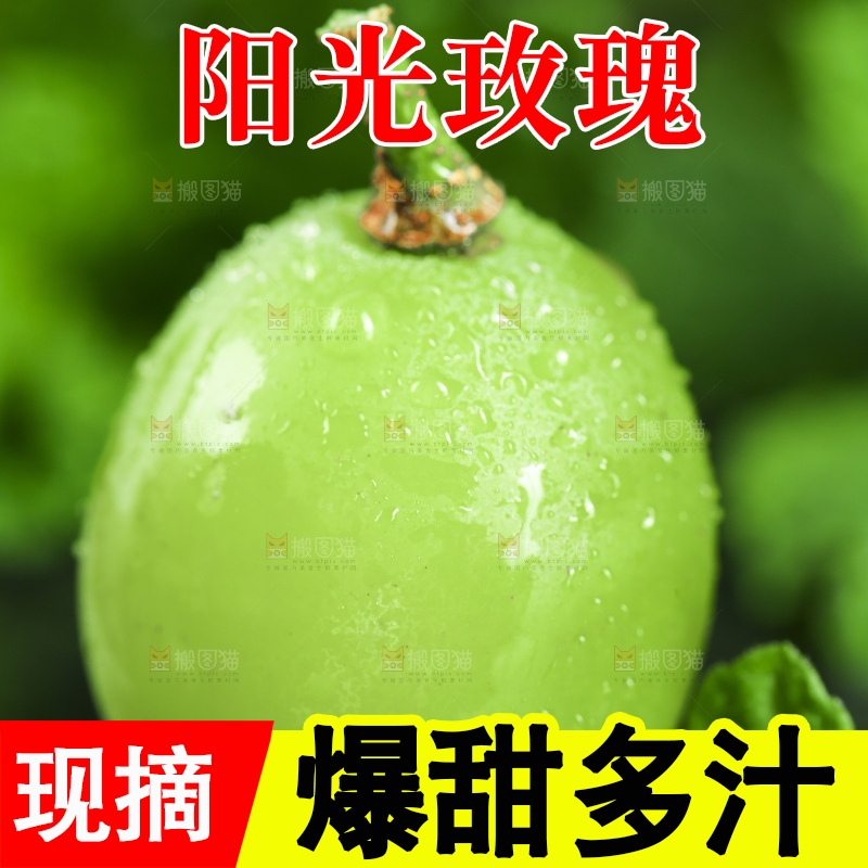 黑石垫上放着无籽青提