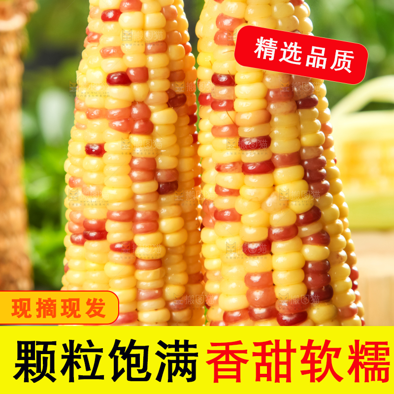 黑石板上放着糯玉米