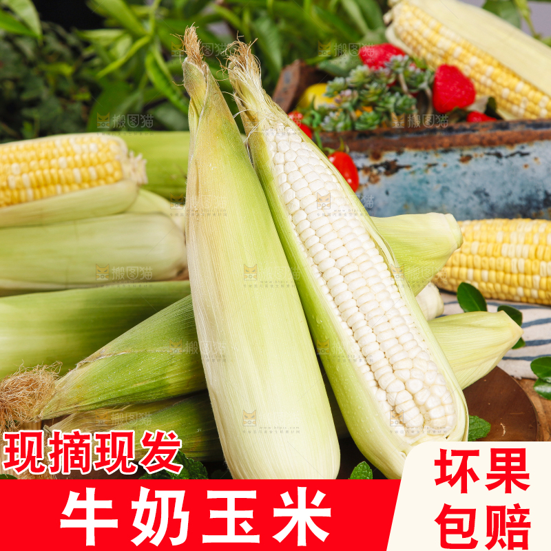 木板上放着牛奶玉米