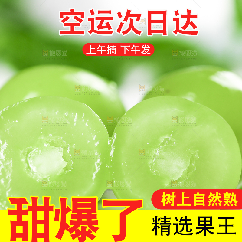 石板上放着无籽青提