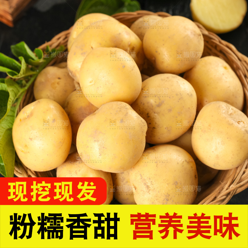 竹篮里装着小土豆