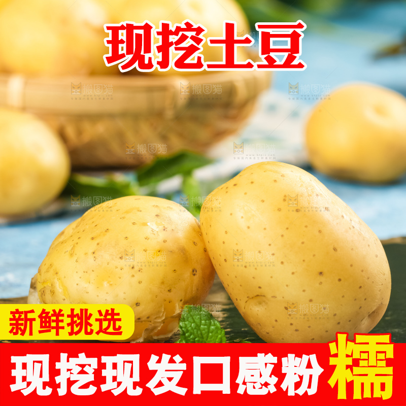 黑石板上的小土豆