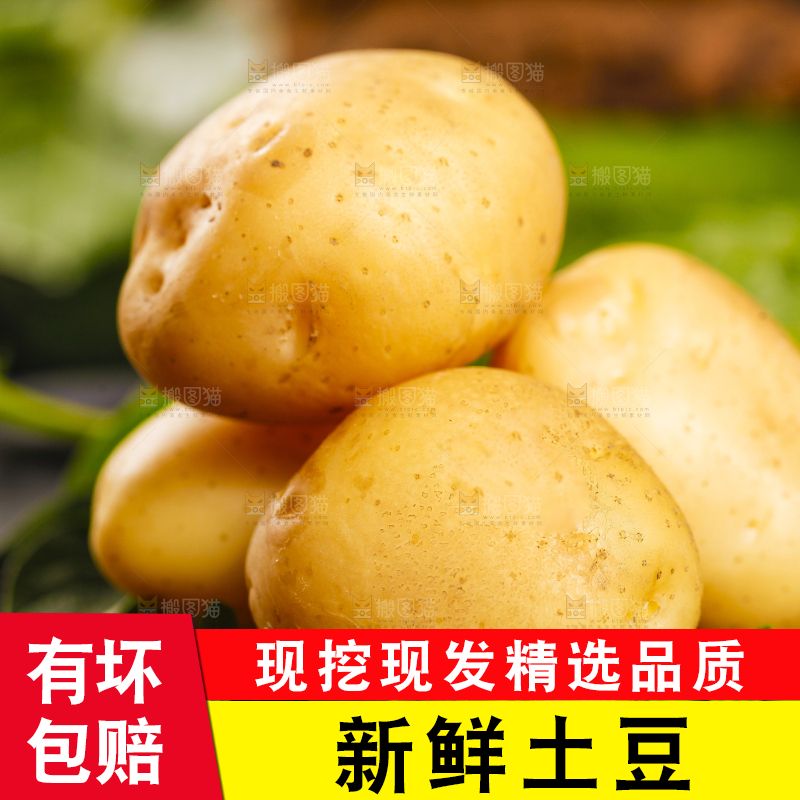 黑石垫上放着云南小土豆
