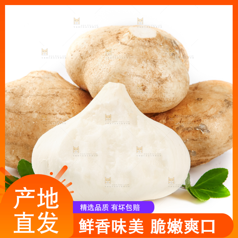 白底上的凉薯