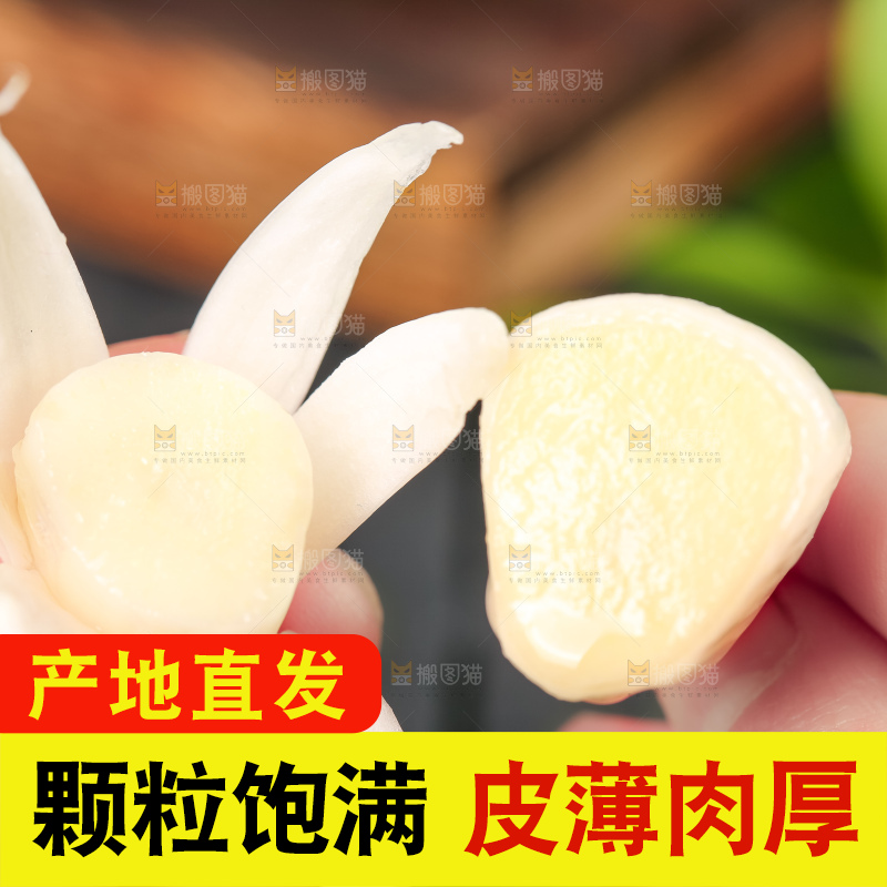 手里拿着云南紫皮大蒜