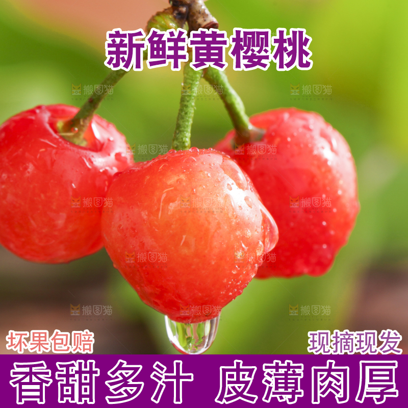 手里拿着黄樱桃