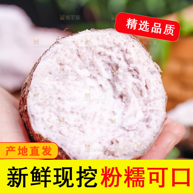 手里拿着大芋头